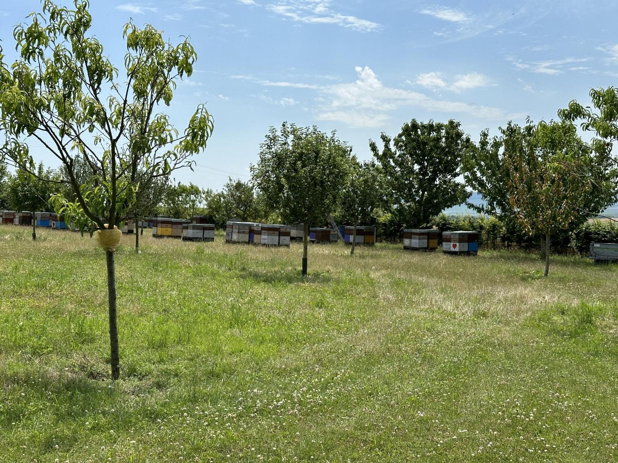 L'Intemporel Cernay-les-Reims Buitenkant foto
